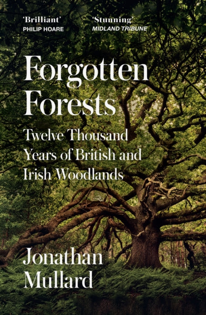Forgotten Forests : Twelve Thousand Years of British and Irish Woodlands - 9780008561086