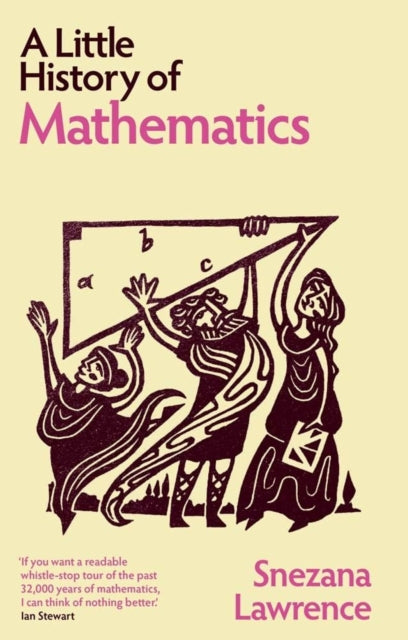 A Little History of Mathematics - 9780300286984