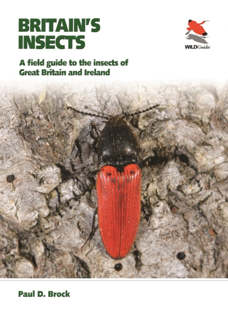 Britain's Insects : A Field Guide to the Insects of Great Britain and Ireland - 9780691179278