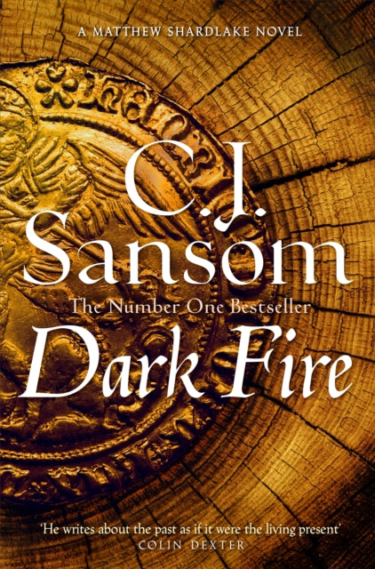 Dark Fire - 9781035012305