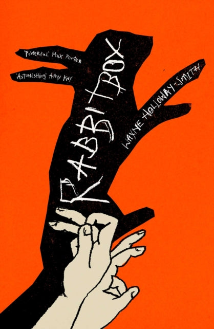 Rabbitbox - 9781398552425