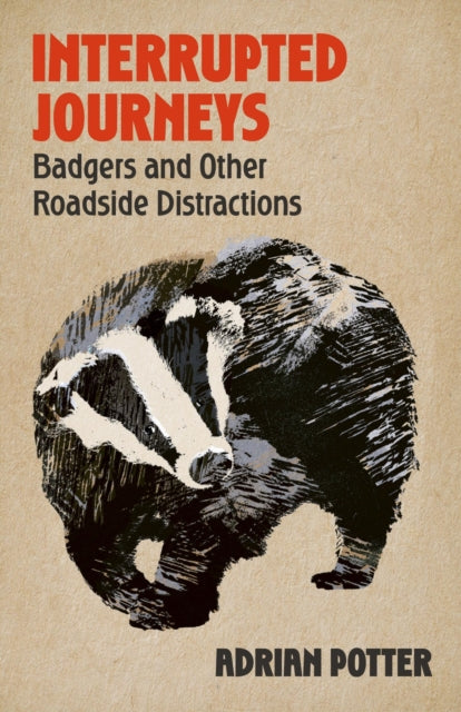 Interrupted Journeys : Badgers and Other Roadside Distractions - 9781399822404
