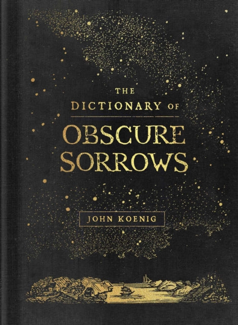 The Dictionary of Obscure Sorrows - 9781501153648