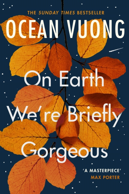 On Earth We're Briefly Gorgeous : 'A masterpiece' - Max Porter - 9781529110685