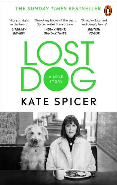 Lost Dog : A Love Story - 9781785039201