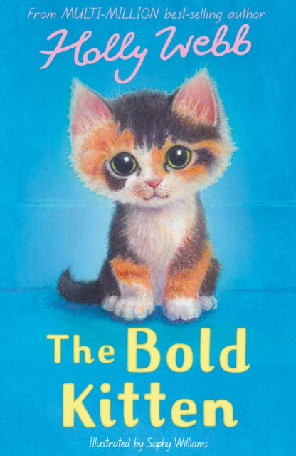 The Bold Kitten - 9781788957397