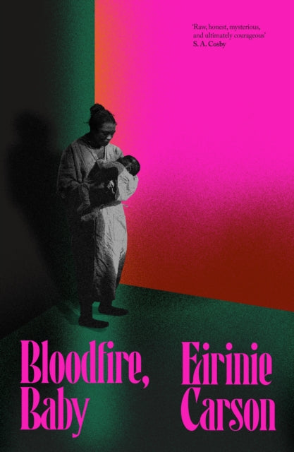 Bloodfire, Baby : a gothic tale about motherhood, ghosts and heritage - 9781835986684