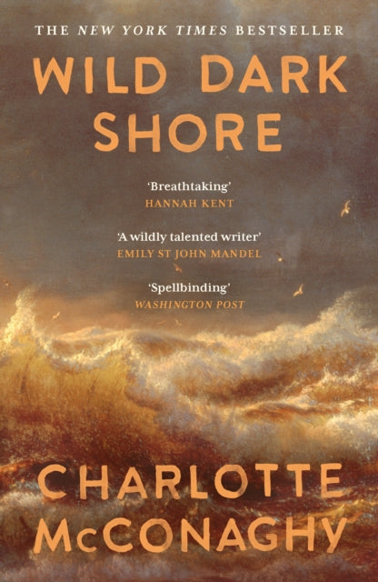 Wild Dark Shore - 9781837265923