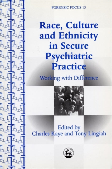 Race, Culture and Ethnicity in Secure Psychiatric Practice : Working with Difference - 9781853026966