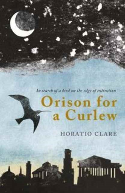 Orison for a Curlew : In Search of a Bird on the Edge of Extinction - 9781908213570