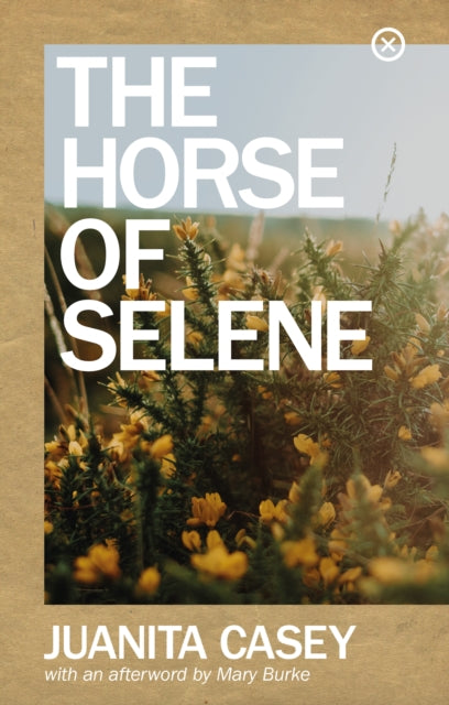 The Horse of Selene - 9781915290007