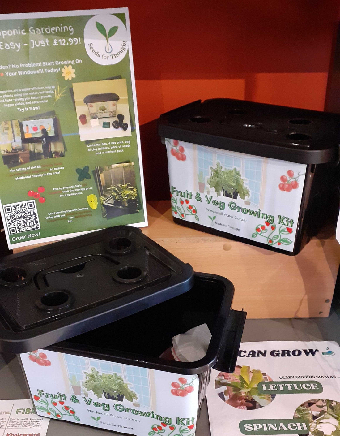 Hydroponic Growing kits now in the shop
