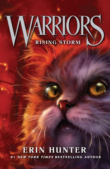Rising Storm : Book 4 - 9780007140053