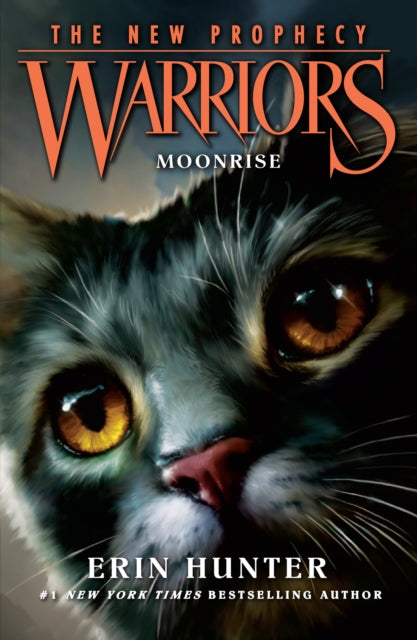 MOONRISE : Book 2 - 9780007419234