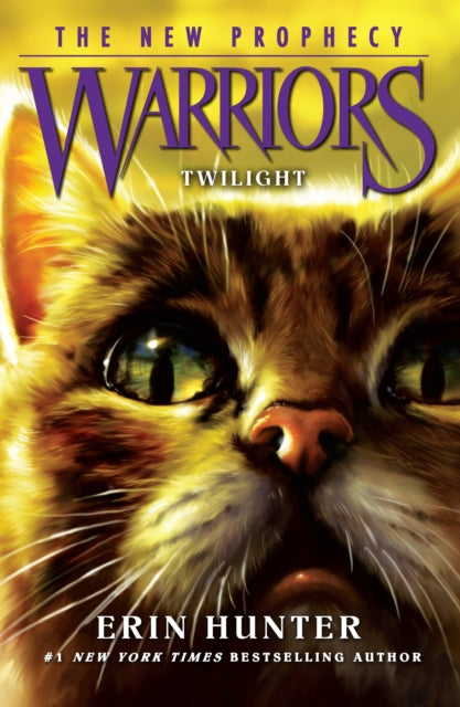 TWILIGHT : Book 5 - 9780007419265