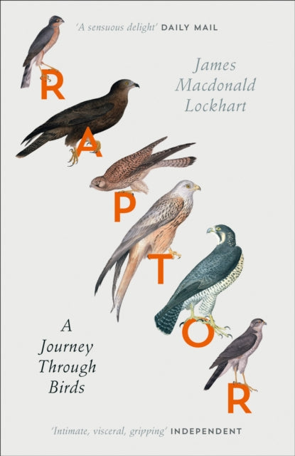 Raptor : A Journey Through Birds - 9780007459896