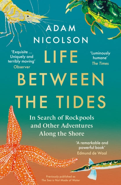 Life Between the Tides : In Search of Rockpools and Other Adventures Along the Shore - 9780008294816