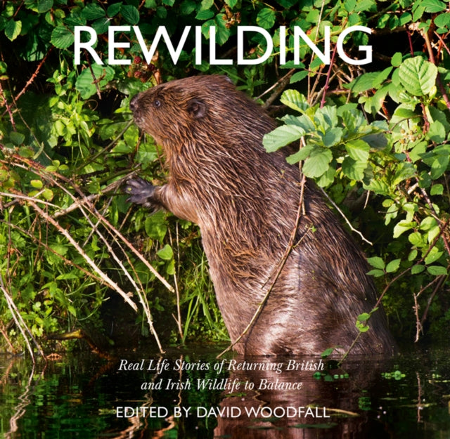 Rewilding : Real Life Stories of Returning British and Irish Wildlife to Balance - 9780008300470