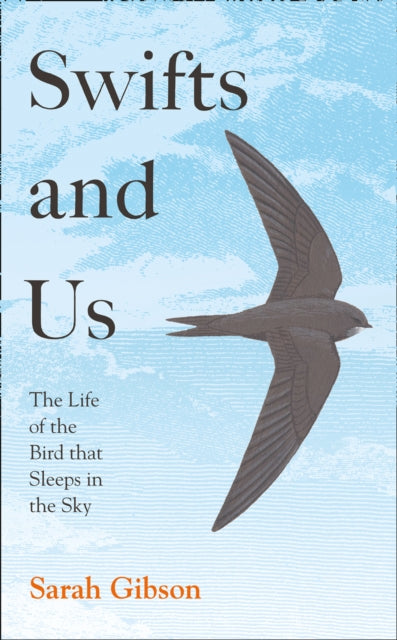 Swifts and Us : The Life of the Bird That Sleeps in the Sky - 9780008350635