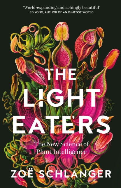 The Light Eaters : The New Science of Plant Intelligence - 9780008445348