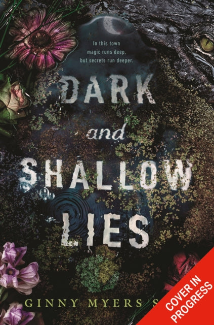 Dark and Shallow Lies - 9780008494780