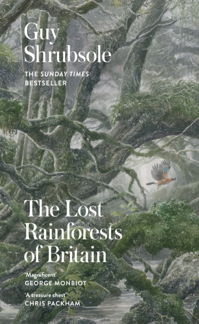 The Lost Rainforests of Britain - 9780008527952