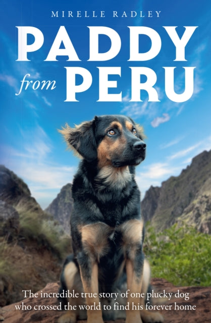 Paddy from Peru : The Incredible True Story of One Plucky Dog Who Crossed the World to Find His Forever Home - 9780008814786