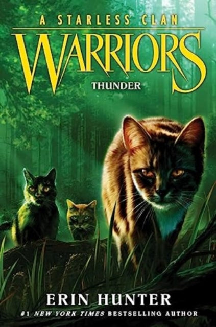 Warriors: A Starless Clan #4: Thunder : 4 - 9780063050273