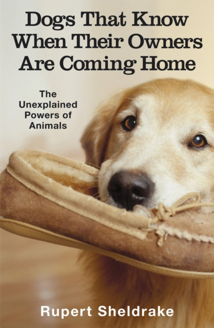 Dogs That Know When Their Owners Are Coming Home : And Other Unexplained Powers of Animals - 9780099255871