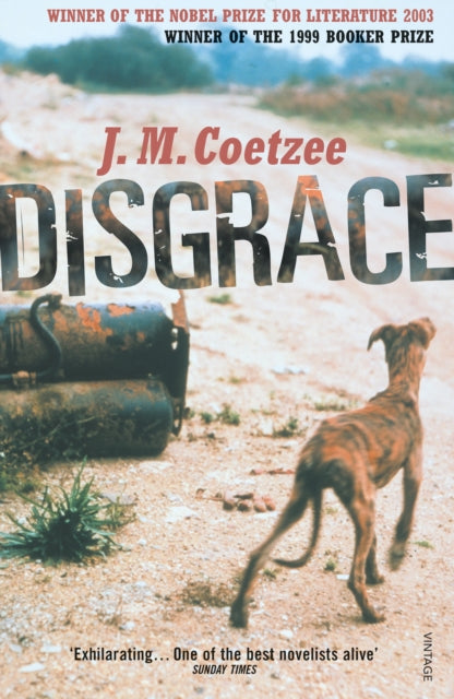 Disgrace : A BBC Radio 4 Good Read - 9780099289524