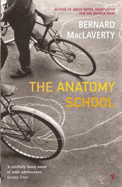 The Anatomy School - 9780099428466