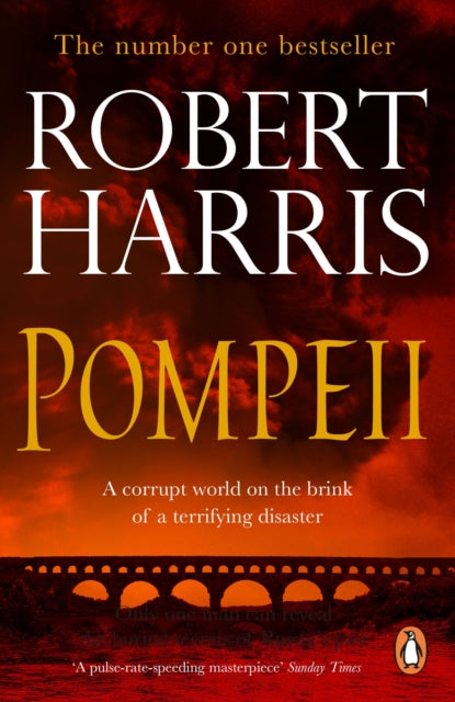 Pompeii : From the Sunday Times bestselling author - 9780099527947