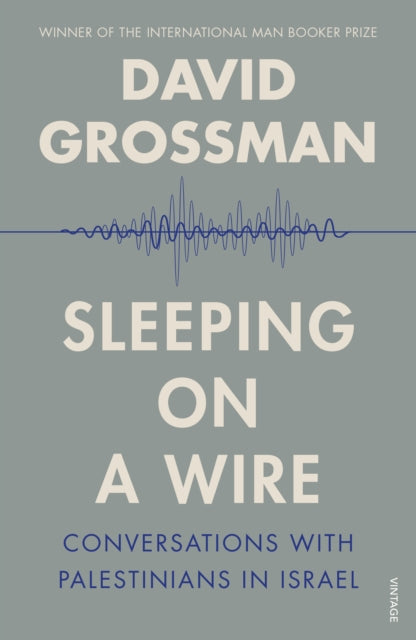 Sleeping on a Wire : Conversations with Palestinians in Israel - 9780099552284