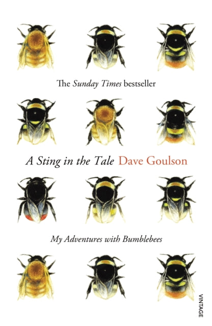 A Sting in the Tale : My Adventures with Bumblebees - 9780099575122