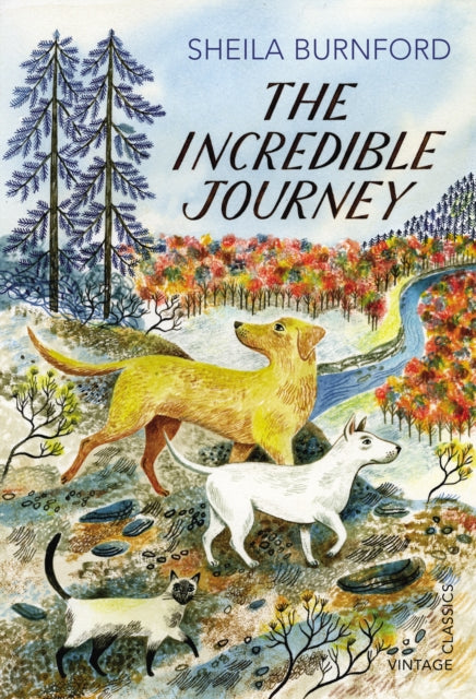 The Incredible Journey - 9780099582786