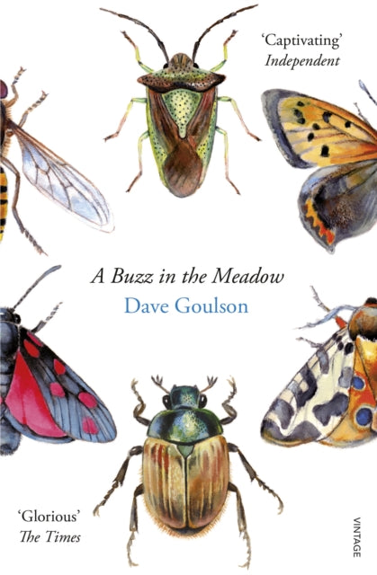 A Buzz in the Meadow - 9780099597698