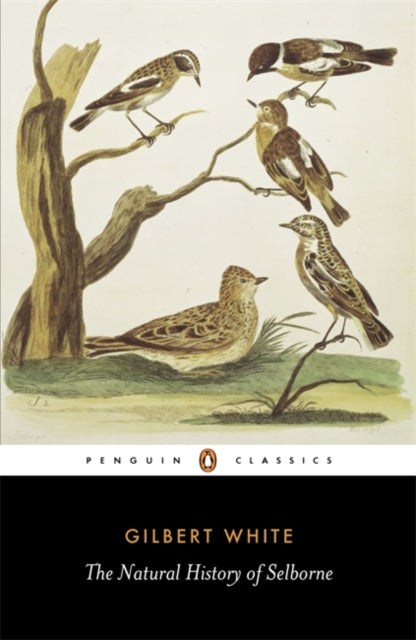 The Natural History of Selborne - 9780140431124