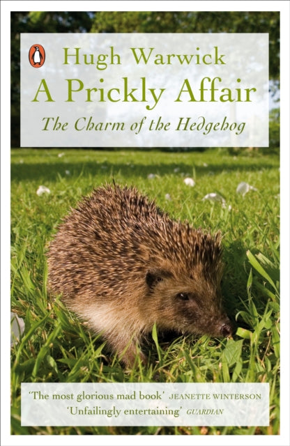 A Prickly Affair : The Charm of the Hedgehog - 9780141988184