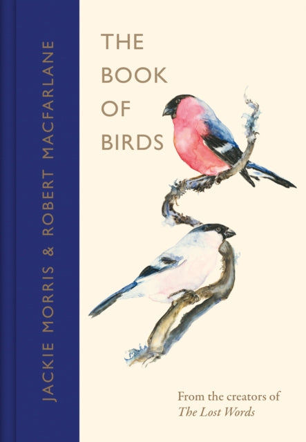 The Book of Birds : A Field Guide to Wonder and Loss - 9780241404737