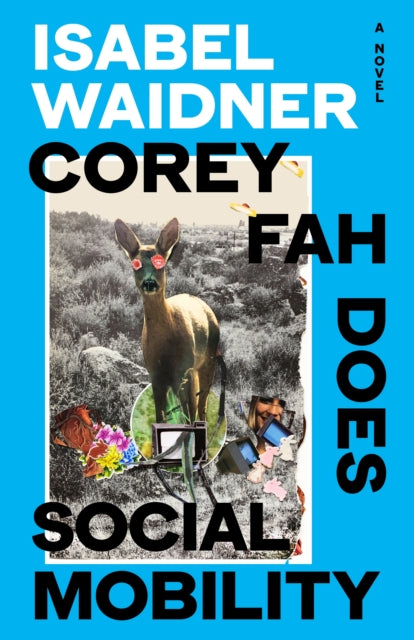 Corey Fah Does Social Mobility - 9780241632536