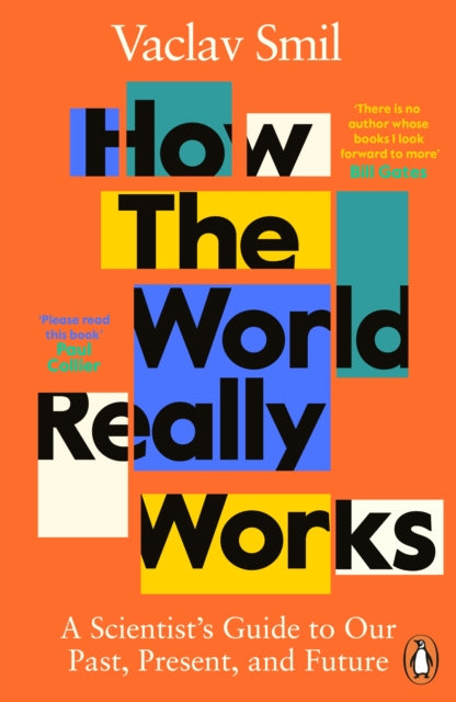 How the World Really Works : A Scientist’s Guide to Our Past, Present and Future - 9780241989678