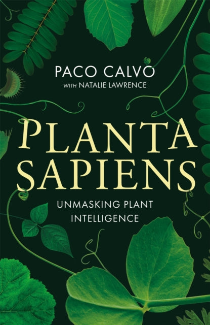 Planta Sapiens : Unmasking Plant Intelligence - 9780349128450