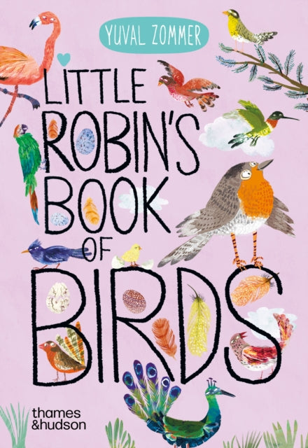 Little Robin's Book of Birds - 9780500653739