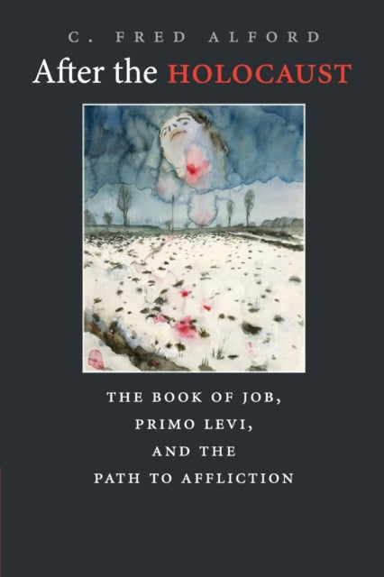 After the Holocaust : The Book of Job, Primo Levi, and the Path to Affliction - 9780521747066