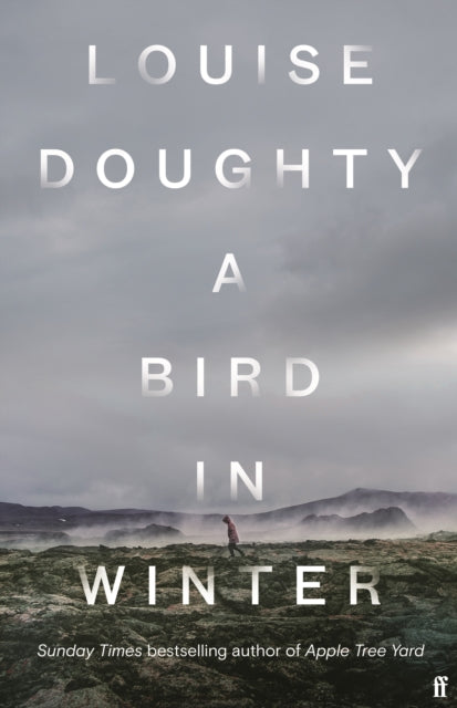 A Bird in Winter : 'Nail-bitingly tense and compelling' Paula Hawkins - 9780571322176