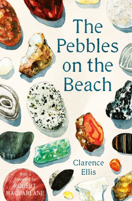 The Pebbles on the Beach - 9780571347933