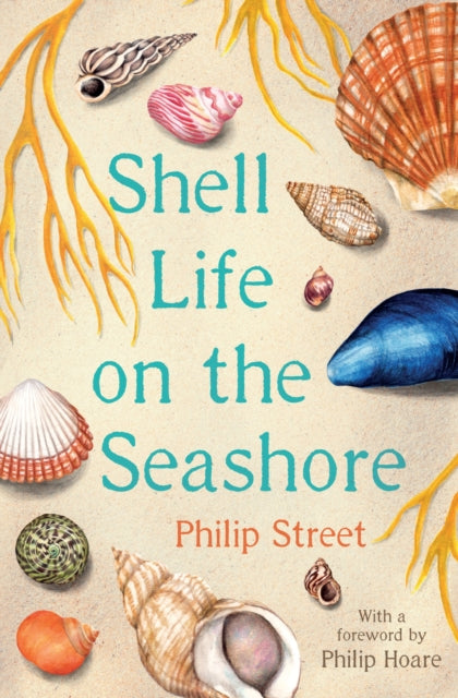 Shell Life on the Seashore - 9780571354450