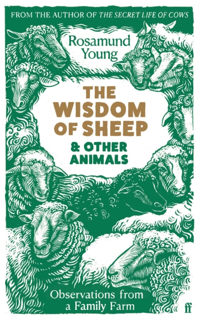 The Wisdom of Sheep & Other Animals : Observations from a Family Farm - 9780571368259