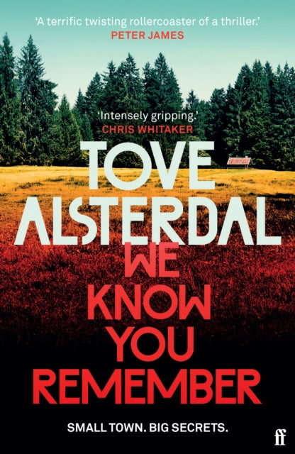 We Know You Remember : The No. 1 International Bestseller - 9780571368938