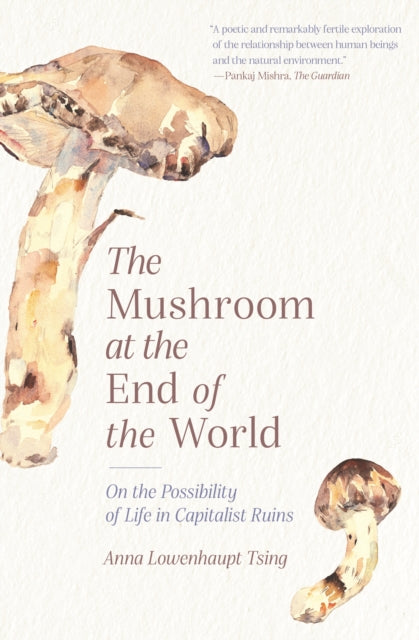 The Mushroom at the End of the World : On the Possibility of Life in Capitalist Ruins - 9780691220550